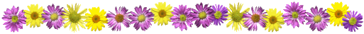 springmixbar.gif